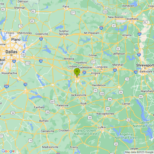 Static map image of Tyler
