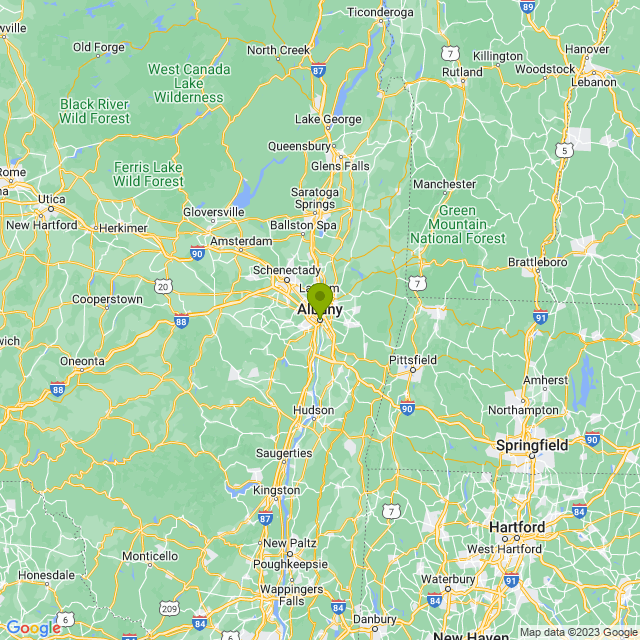 Static map image of Albany